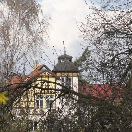 Amalie Vila 1921 Secesni Nostalgie 奥洛穆茨 外观 照片