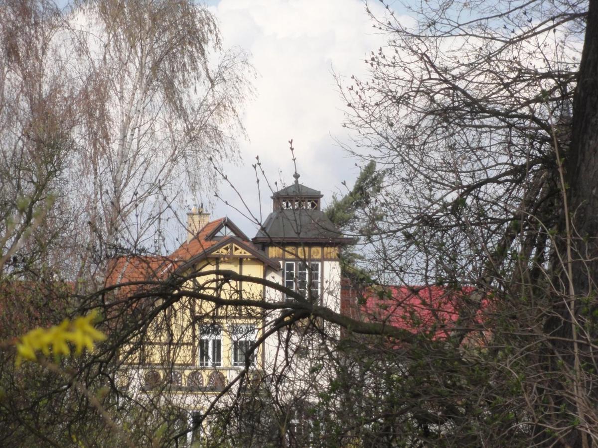 Amalie Vila 1921 Secesni Nostalgie 奥洛穆茨 外观 照片